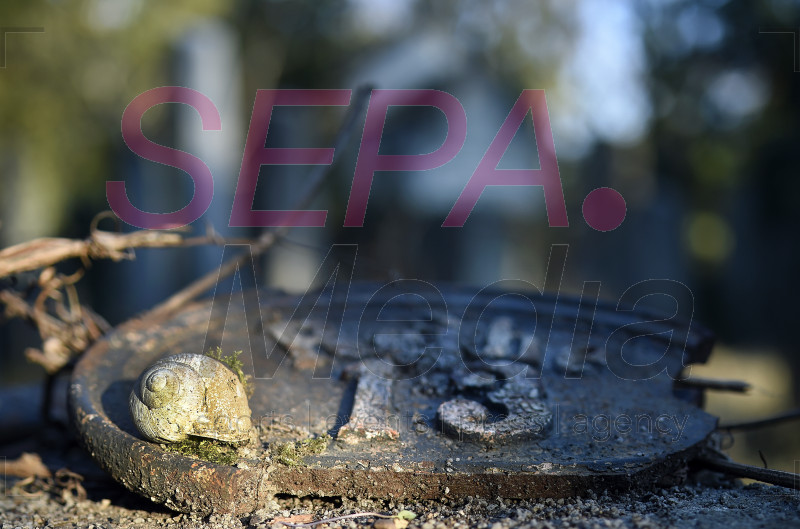 Preview 2000819_SEPA_33_033.JPG